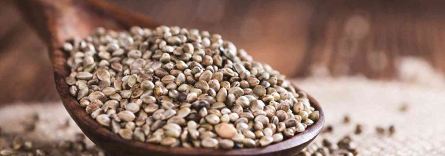 How to store cannabis seeds How to store cannabis seeds